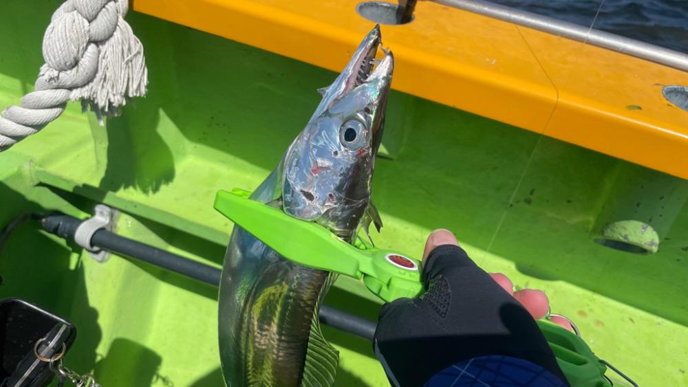 タチウオ（五目？）ジギング？？