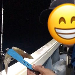 過酷なイカメタル