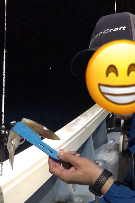 過酷なイカメタル