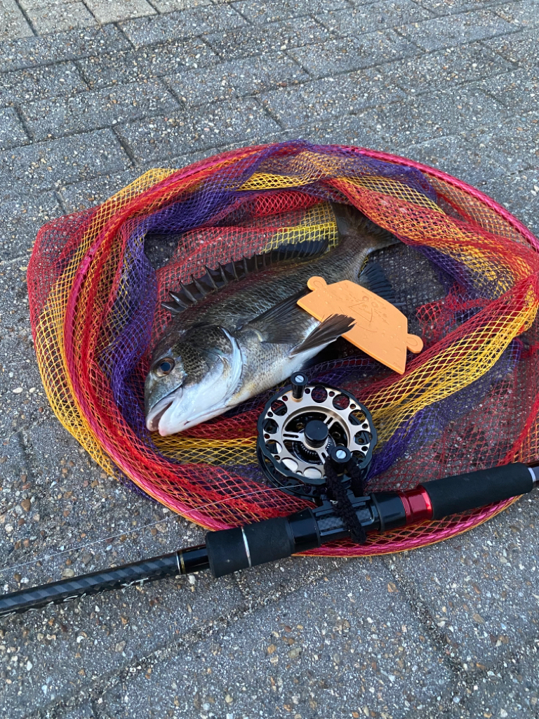 ヘチってきました