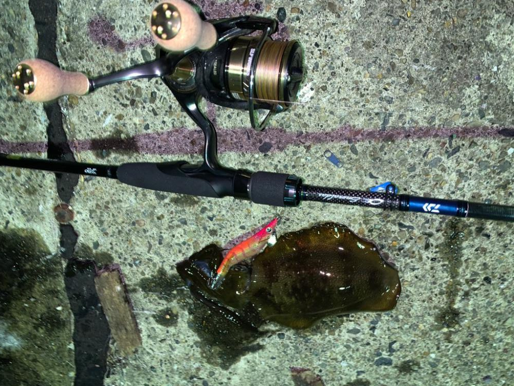 今年はまだ早い?