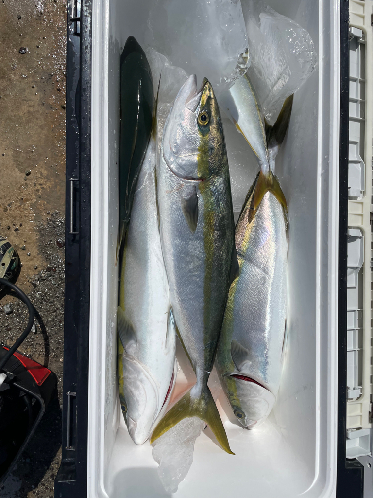 明石沖激流ジギング