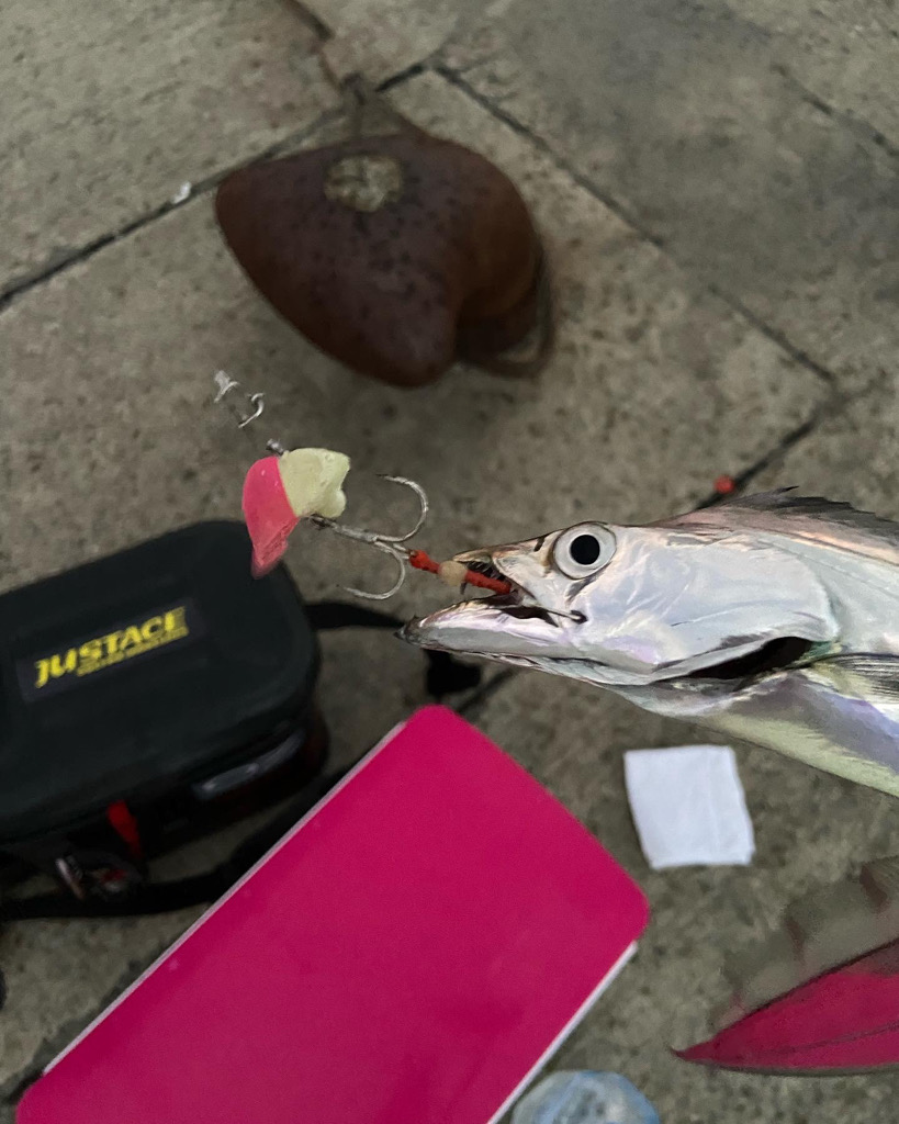 ワインドの日！？ワインドの連続ダートアクションで連発♪かこ