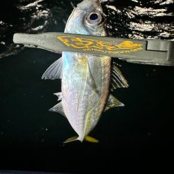 ボートアジング