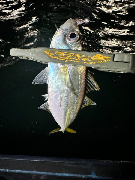 ボートアジング