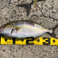 ショアジギング