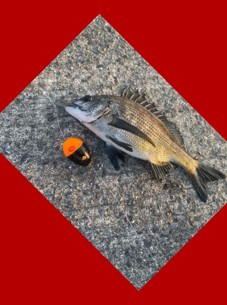 一雨降りその後。