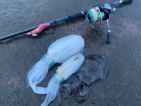 相棒は墨族！入れた瞬間スイッチが入るエギを使いこなしたい