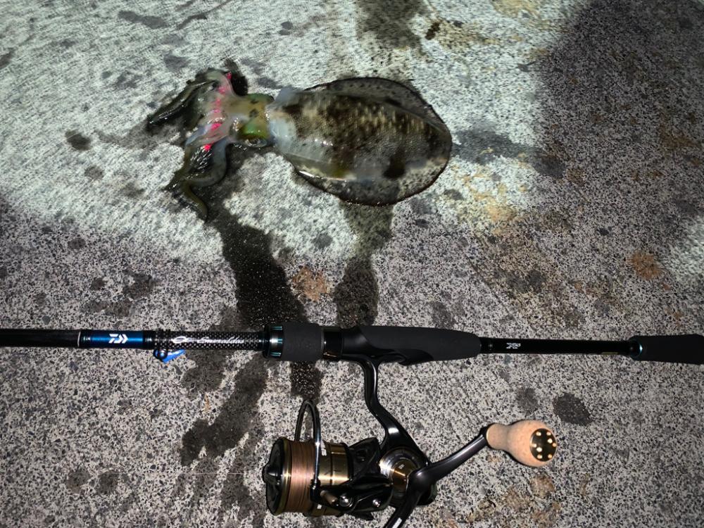 台風明けの新子調査