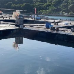 水宝に行って来ました