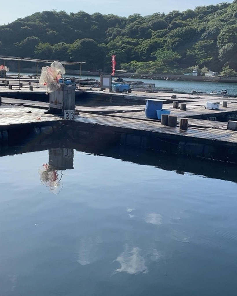 水宝に行って来ました