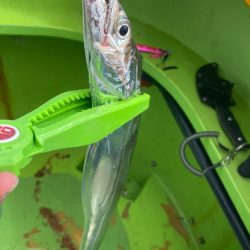 バリバスカップ参戦！！