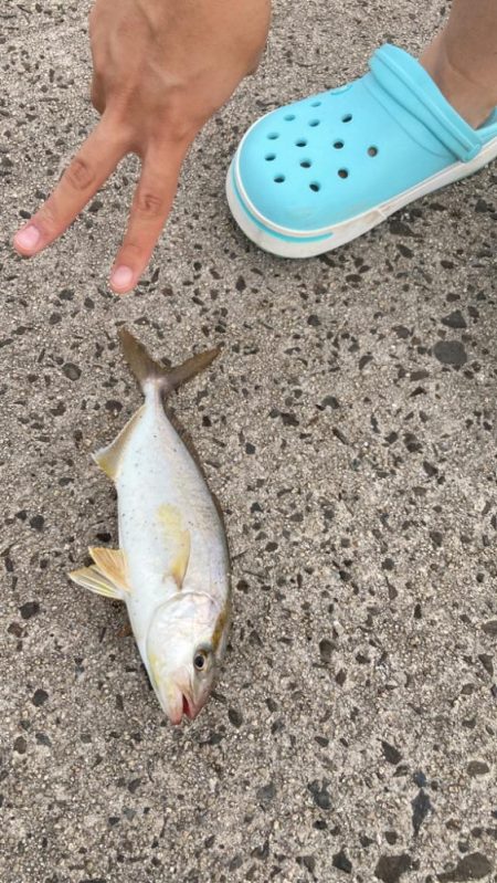 旅行中にジグパラでカンパチ！！！