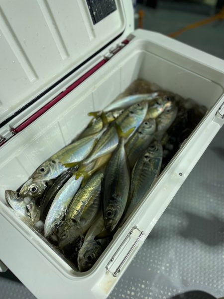 バチコン⋆*🎣♬