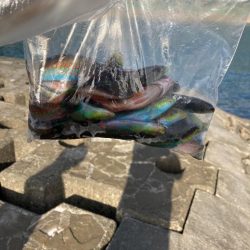 西伊豆まできて。。。