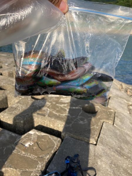 西伊豆まできて。。。