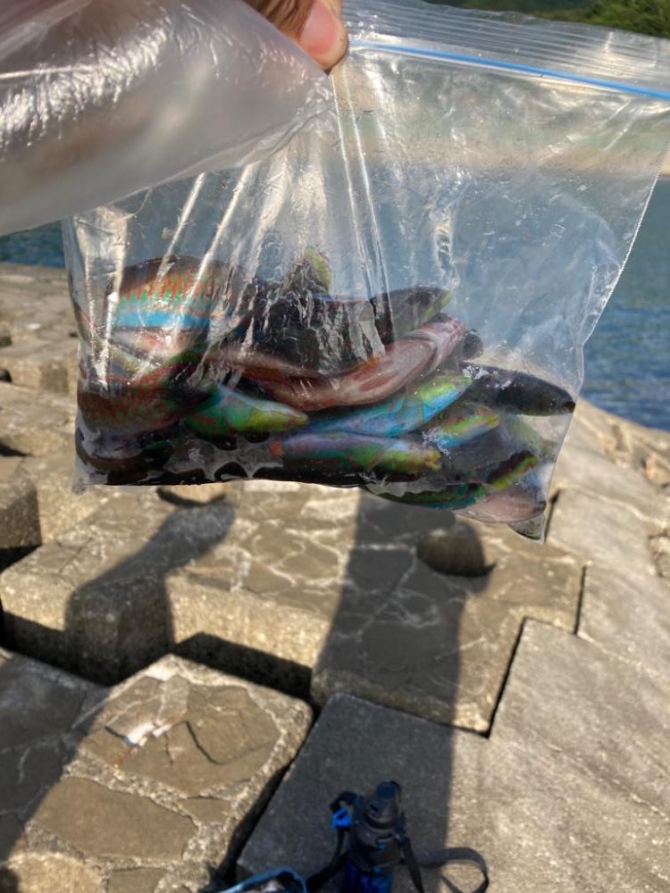 西伊豆まできて。。。