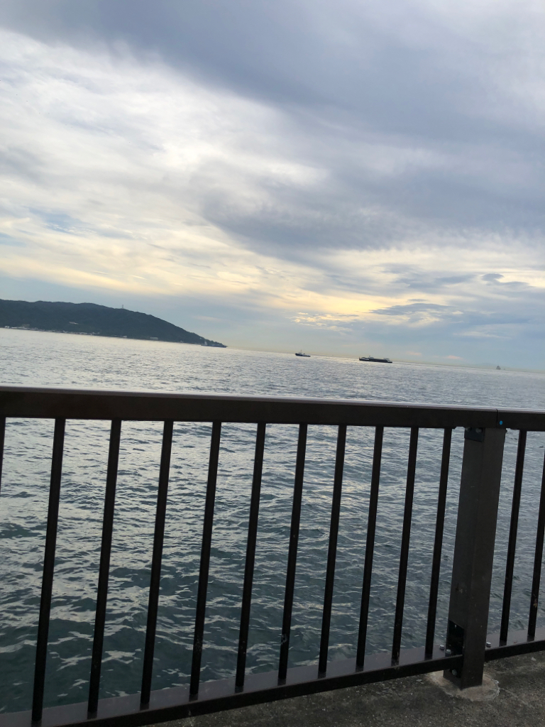 夏の終わりのシオは元気です!