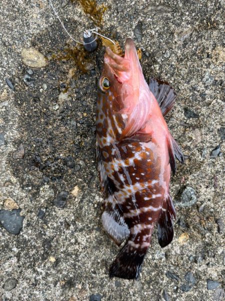 旅行ついで釣行2