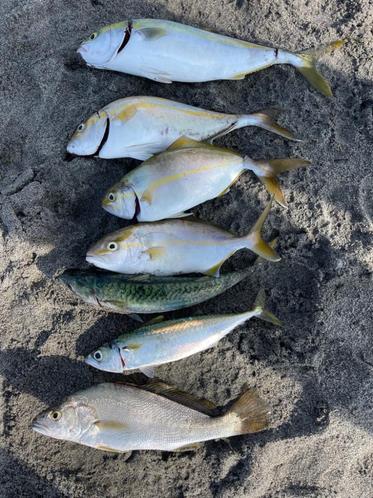 荒れる前は爆釣チャンス‼︎