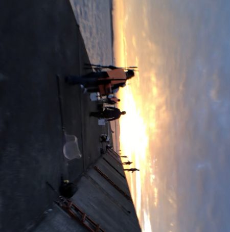 ハマチと今年初サゴシ