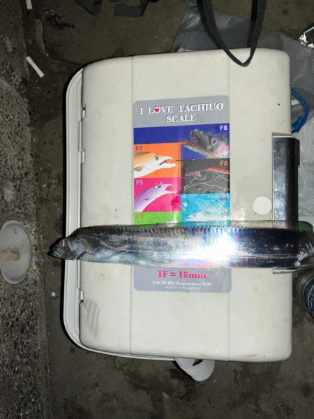 今日もパワーシャッドで…