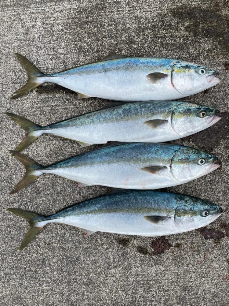 ショアジギング