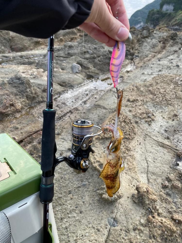 待ちに待ったエギング、ポイント探し。