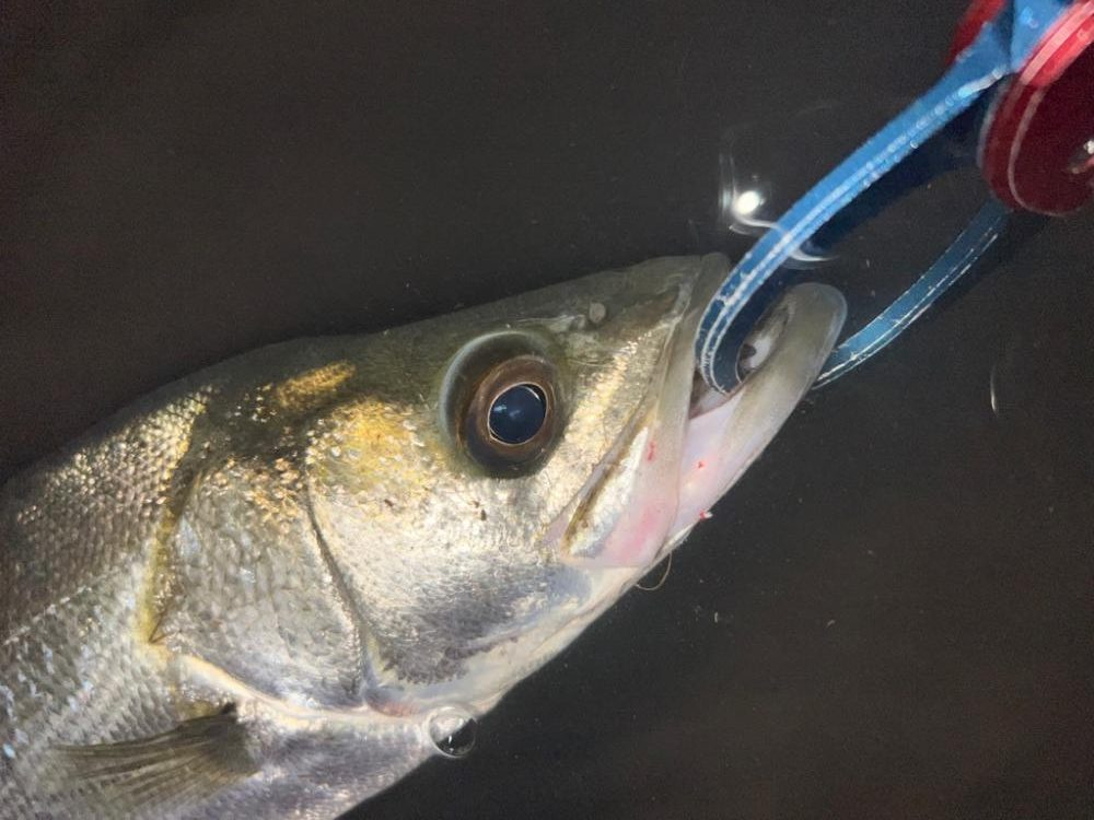 ラザミン90ででた