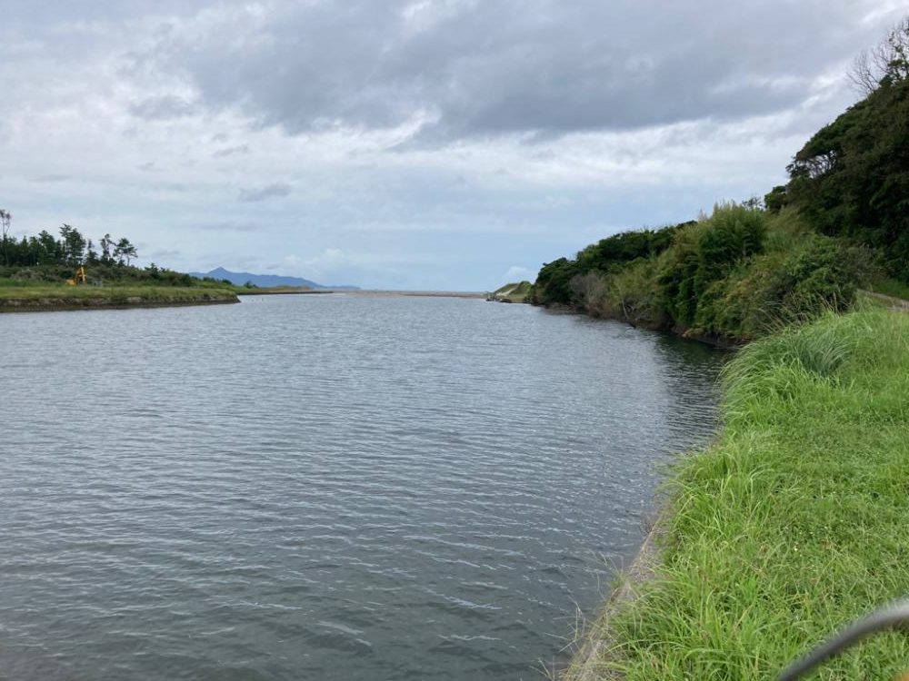 キビシートップチニング