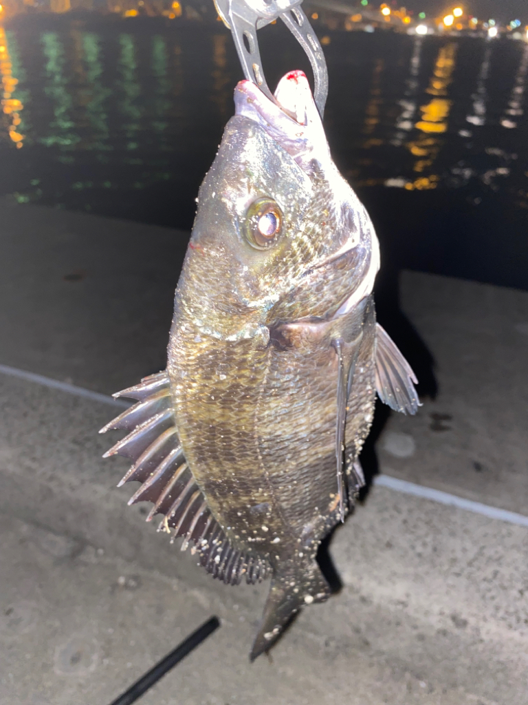 ヘチってきました