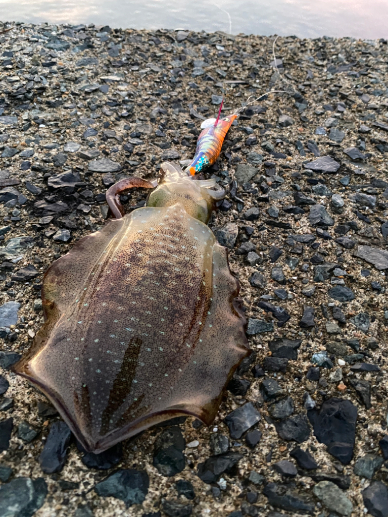 8か月ぶりの釣行