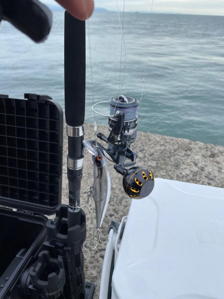 まだ小さいツバス！