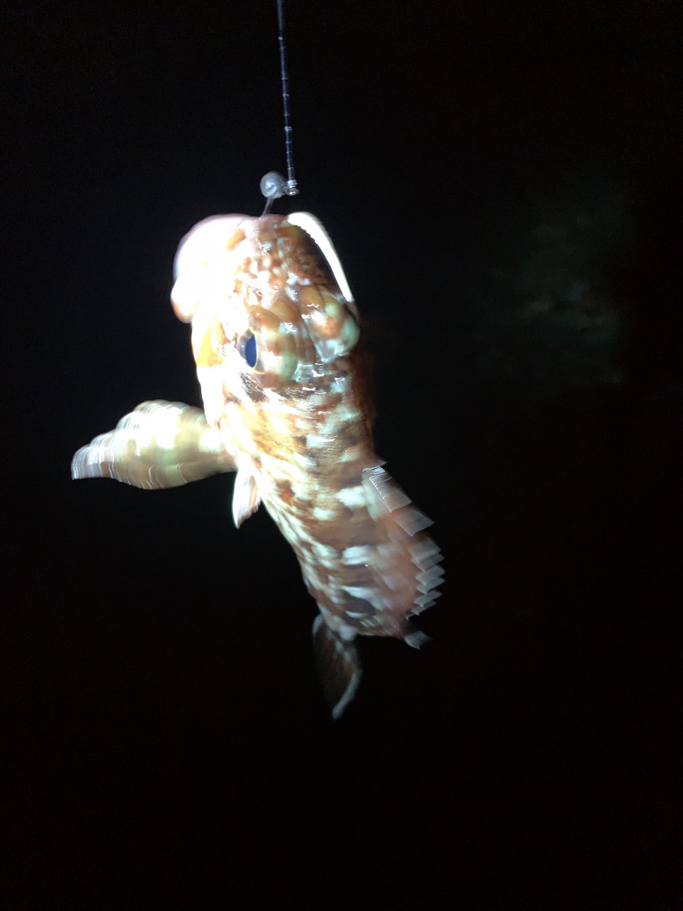 フロートアジング