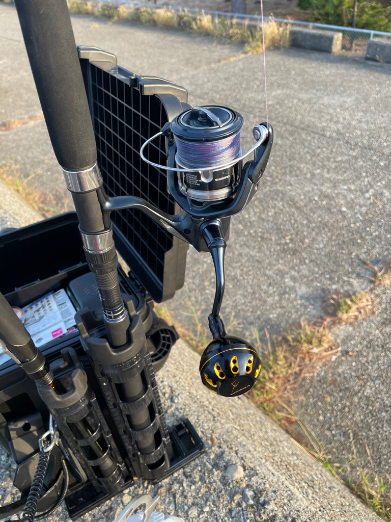 アオリイカ、シオ