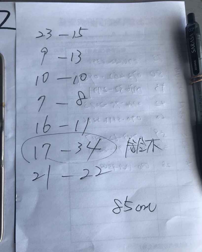 神戸沖のタチウオ