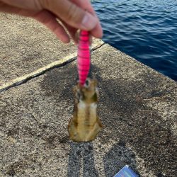 台風前の秋の気配