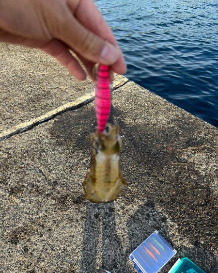 台風前の秋の気配