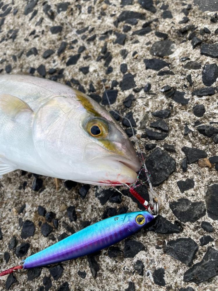 ライトショアジギング