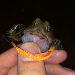 キワを攻めると…