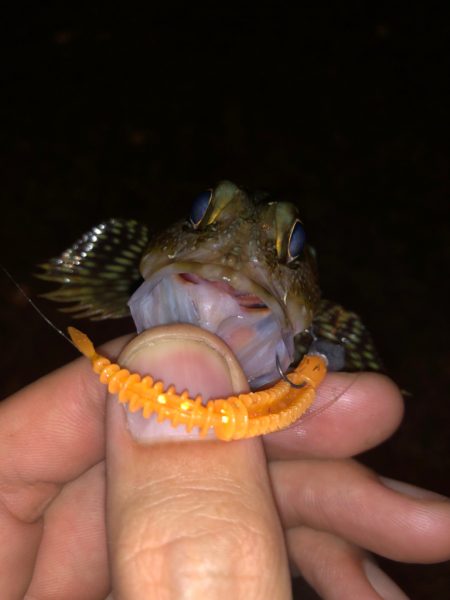 キワを攻めると…