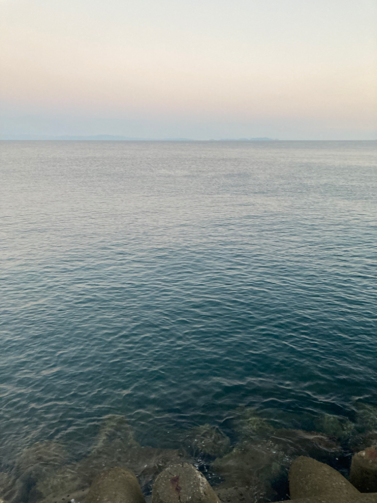 青物不発からのタチウオ