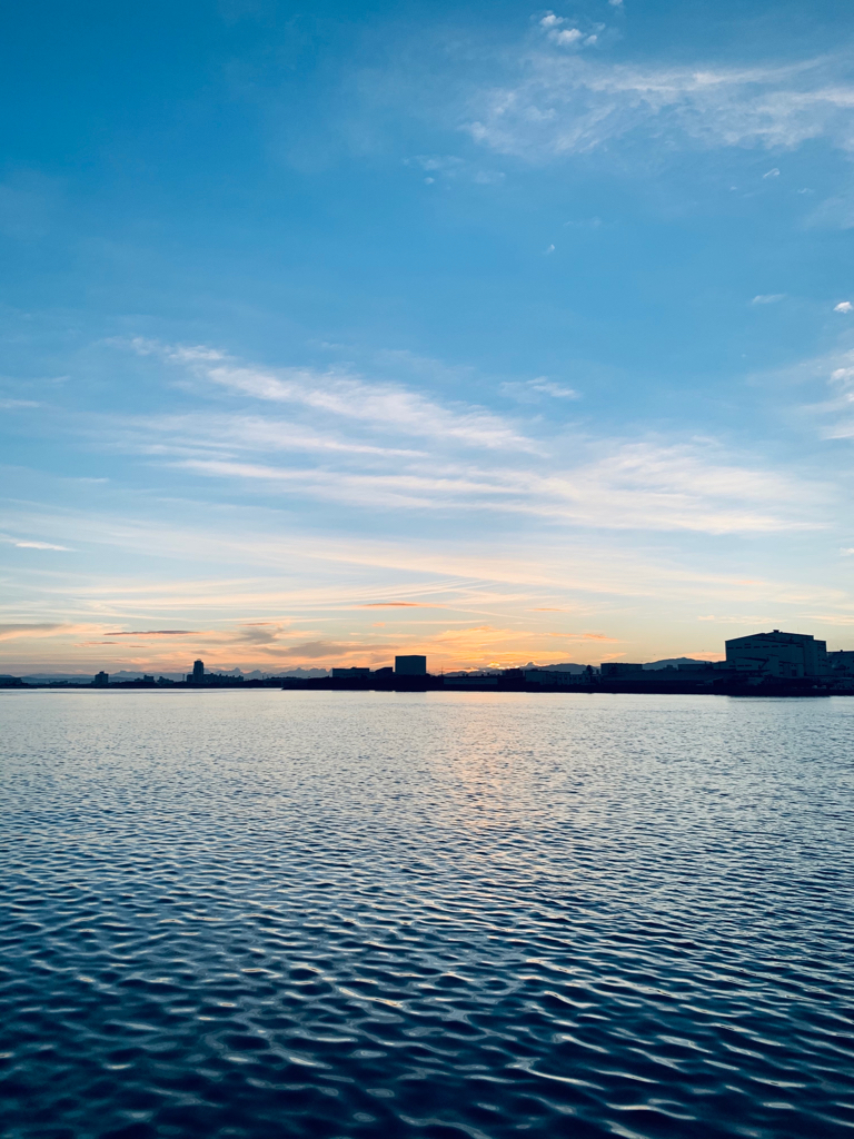 コルトスナイパーBBに鱗付け