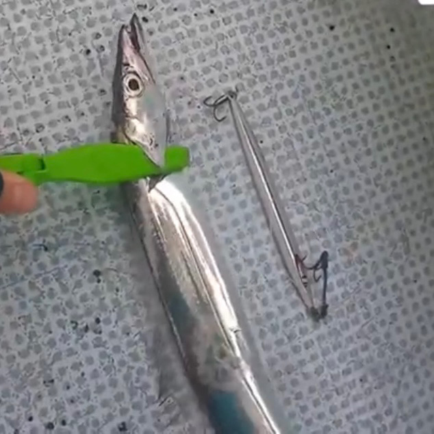 激シブタチウオ