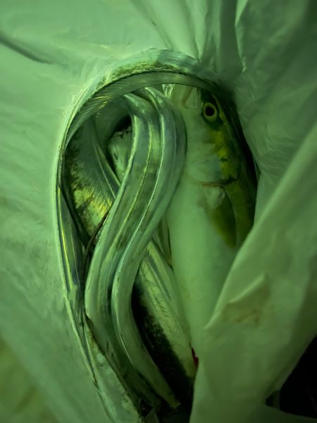 台風前のとっとパーク小島