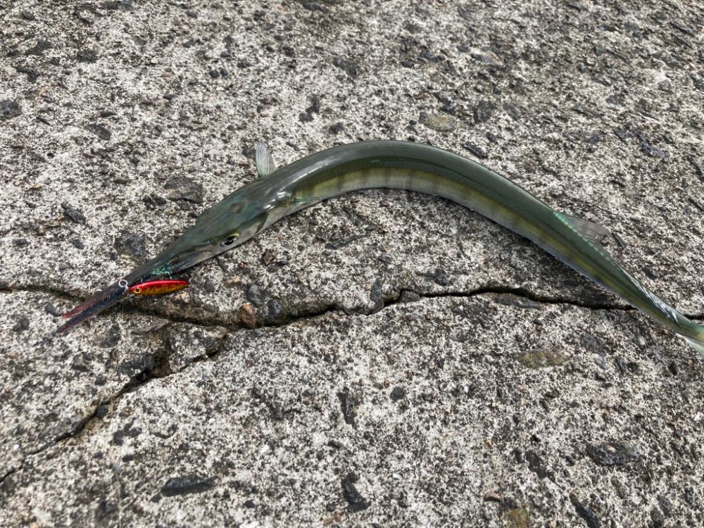 ロッド入魂完了