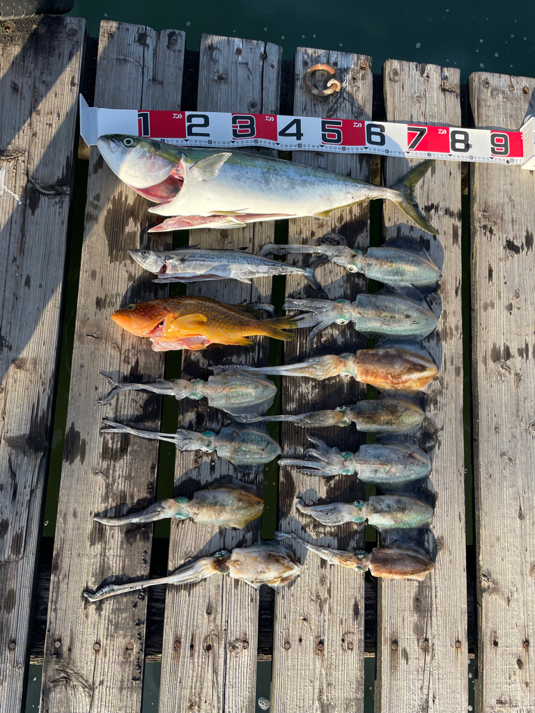 アオリイカティップラン&ジギング