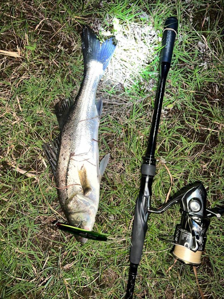 ブローウィン125ジャーク