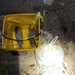 【秋イカ好調】京丹後〜伊根湾