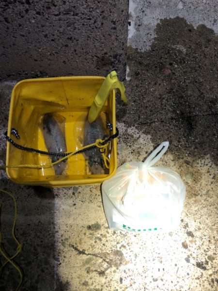 【秋イカ好調】京丹後〜伊根湾